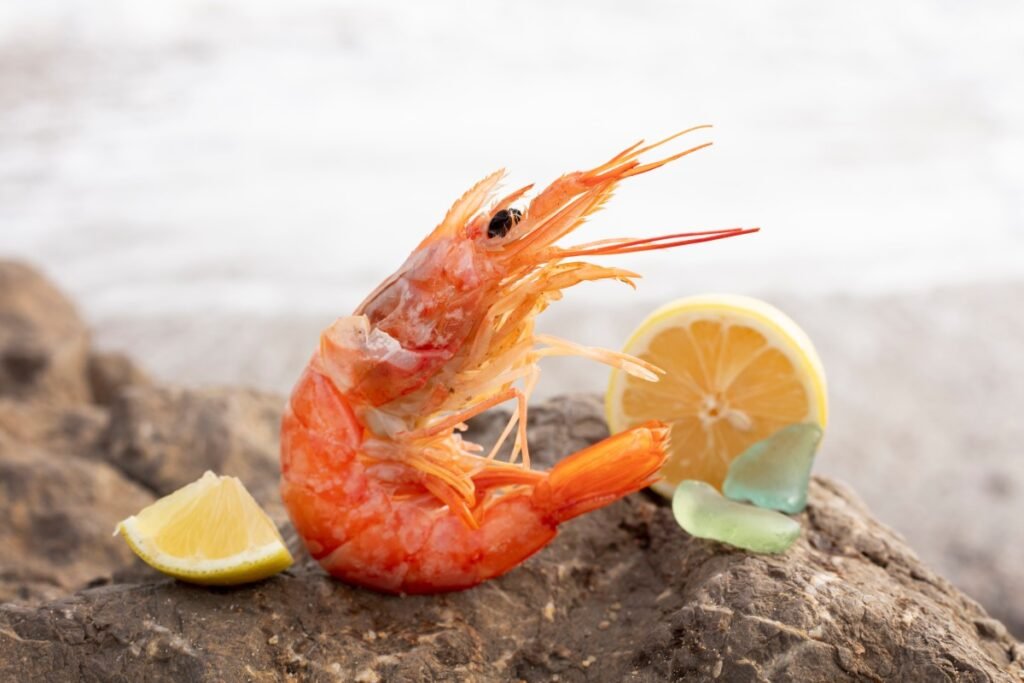 Close Up Delicious Spanish Food 4 1 1024x683